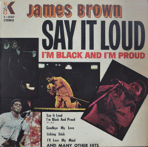 JAMES BROWN - SAY IT LOUD (USA)