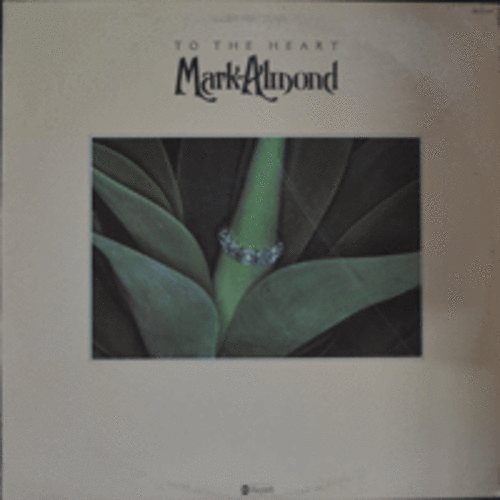 MARK ALMOND - TO THE HEART (English jazz/Jazz, Rock group/ * JAPAN) MINT