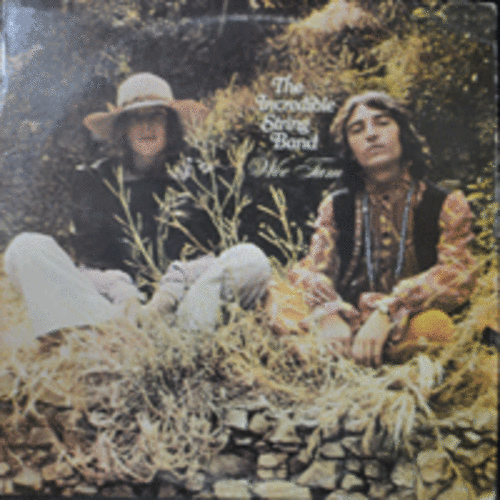 INCREDIBLE STRING BAND - WEE TAM  (* USA) EX++/EX+