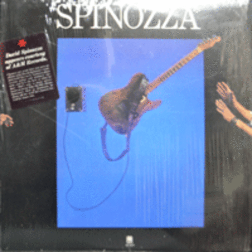 SPINOZZA - DAVID  SPINOZZA  (AMERICAN GUITARIST and PRODUCER/* USA ORIGINAL) NM