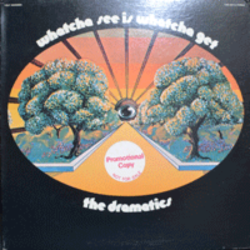 DRAMATICS - WHATCHA SEE IS WHATCHA GET (IN THE RAIN 수록/* USA 1st press  VOS-6018) NM+