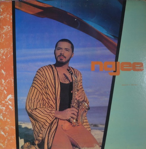 NAJEE - NAJEE&#039;S THEME (Jamaica Smooth Jazz, Jazz-Funk, Contemporary/오아시스 OLE-685/해설지) LIKE NEW