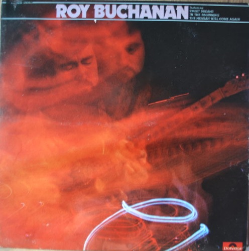 ROY BUCHANAN - ROY BUCHANAN  (American guitarist and blues musician/너무 아름다운 연주 IN THE BEGINNING/WAYFAIRING PILGRIM /THE MESSIAH WILL COME AGAIN 그의 대표적 곡들 수록/ * JAPAN) NM