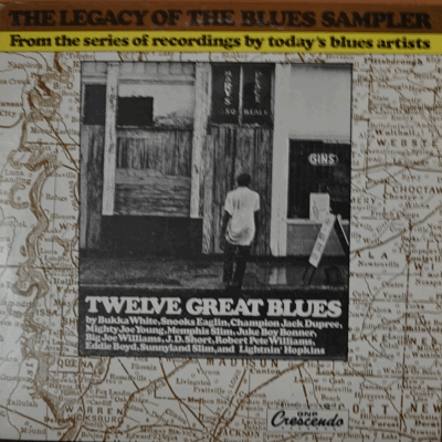 BUKKA WHITE JUKE BOY BONNER LIGHTNIN&#039; HOPKINS - TWELVE GREAT BLUES(FUNKY MALAGUENA 수록/USA)