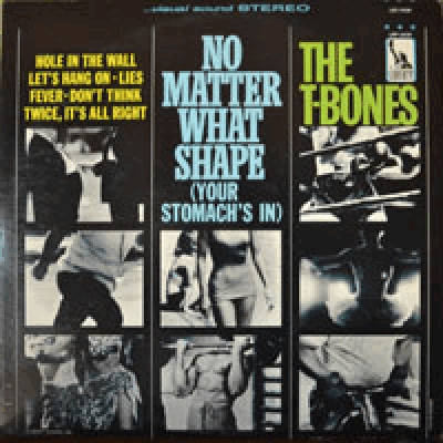 T BONES - NO MATTER WHAT SHAPE