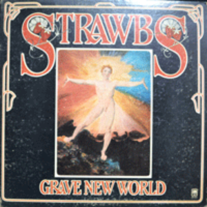 STRAWBS - GRAVE NEW WORLD (BOOKLET 16 PAGE 해설책자 재중/* USA) MINT/NM