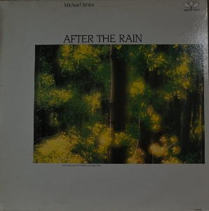 MICHAEL JONES - AFTER THE RAIN (Canadian New age  Neo-classical pianist / 해설지)  LIKE NEW
